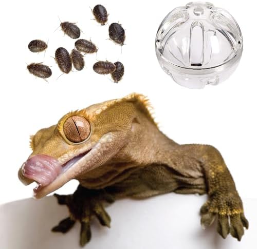 Bearded Dragon Feeder Toy - Reptile Foraging Ball Lizard Enrichment Interactive Toy Reptile Terrarium Tank Decor for Lizard, Bearded Dragon,Chameleon Small Animals (3.4 Inch)