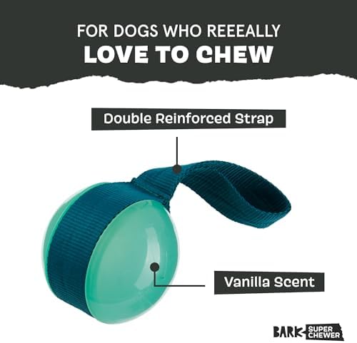BarkBox Super Chewer Rope Dog Toy - Large