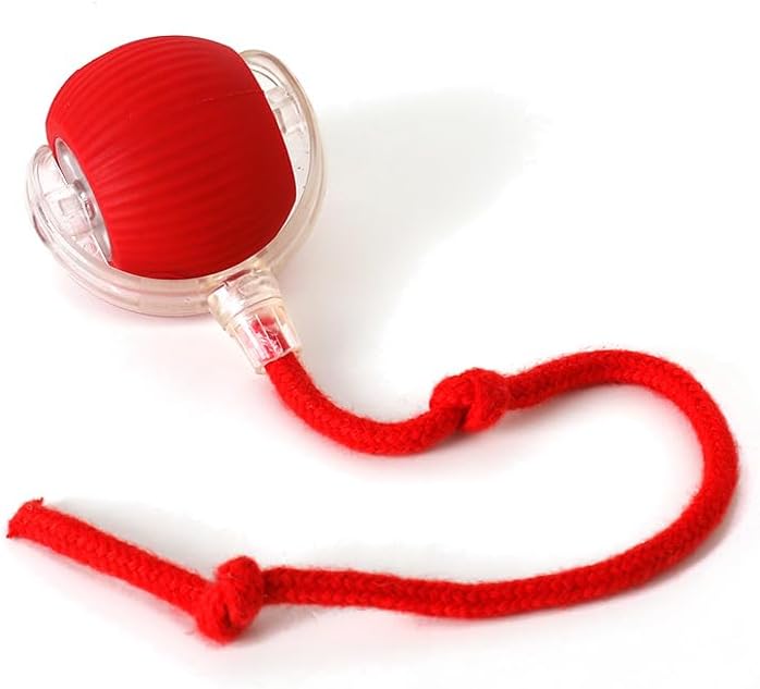 Cat and Small Dog Toy Ball with Tail Rope, Red
