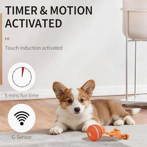2 Pcs Interactive Dog Toy, Automatic Rolling Ball with Bird Sound, Pet Toys