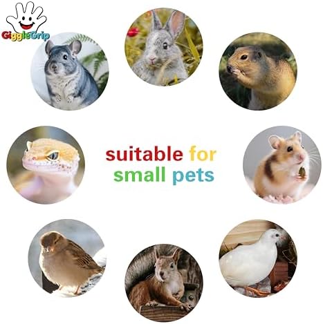 Bird Foraging Toys, Interactive Parrot Puzzle Feeder for Mental Enrichment, Clear Acrylic Treat Dispenser Wheel for Small to Medium Birds, Cockatiel, Conure, Parakeet, Budgie (1 Pack)