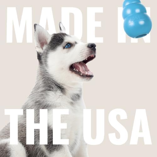 KONG Puppy Goodie Bone with Rope, Natural Rubber, for XS Puppies, Blue