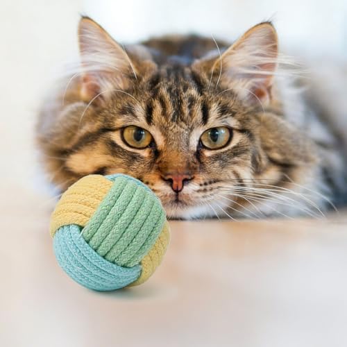 Cat Toys Balls with Bell Inside, 2-Inch Soft Interactive Chew Toys for Indoor Cats & Kittens, Colorful Rope Balls with Crinkle Sound for Chasing Play and Dental Health, 3 Pcs