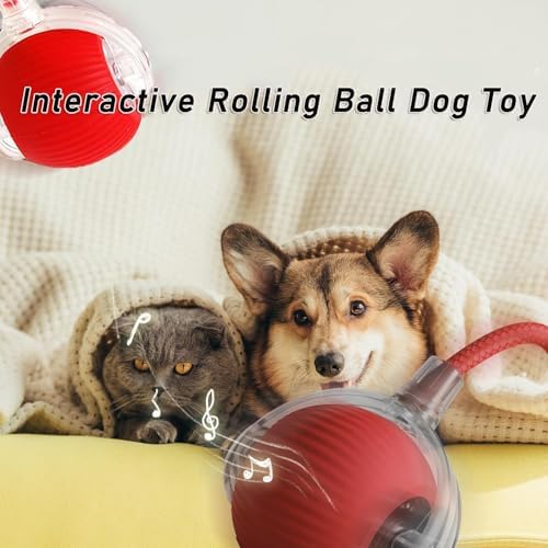 Interactive Rolling Dog Ball,Interactive Rolling Ball Dog Toy,Interactive Rolling Ball Dog Toy,Electric Dog Ball Toy,Electric Dog Ball,360° Smart Automatic Rolling Pet Ball(Red)