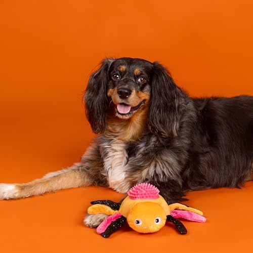 Fringe Studio Pet Toy, Stop Bugging ME Pastel Plush Dog Toy with Spiky TPR Ball, PetShop Collection (314610)
