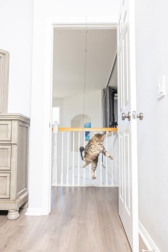SPOT A-Door-Able Bouncing Mouse Cat Toy - Hanging Rattle & Catnip Interactive Toy, Entertain Cats for Hours, Indulge Natural Hunting Instincts, Provide Mental Stimulation, Suspend From Any Door Frame