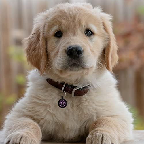 MYLUCKYTAG QR Code Dog Tags - Scan for Instant Pet Location Alert Email