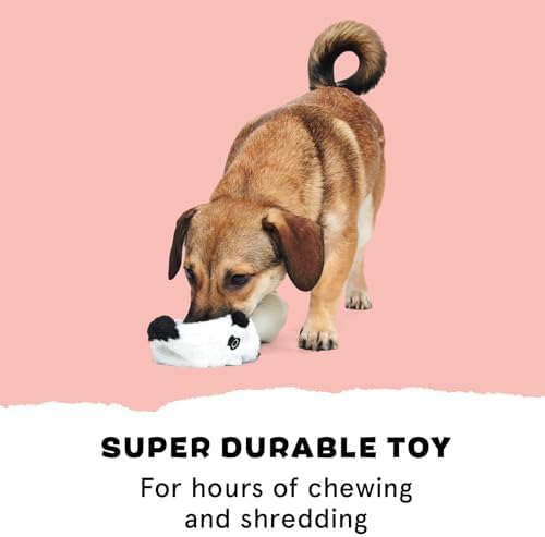 BarkBox Super Chewer Tough Dog Chew Toys - 2 Toys in 1 - Large