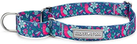 Lucky Love Dog Martingale Collar for Medium Dogs Cute – Carriebelle, Medium