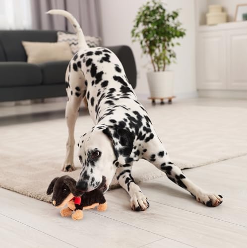 Fuzzl Eco Leather Natural and Tough Dog Toys - Long Lasting Chew Toys for Aggressive Chewers - Strong Dog Toy for Dogs and Puppy