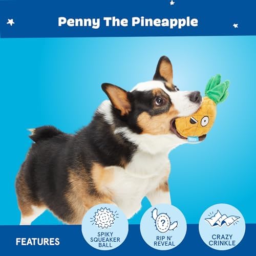 BarkBox Penny The Pineapple 2-in-1 Interactive Plush Dog Toy