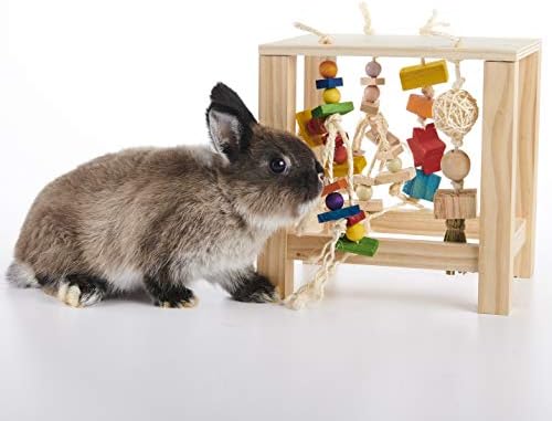 Oxbow Play Table, Rabbit & Guinea Pig Toys, Guinea Pig Accessories