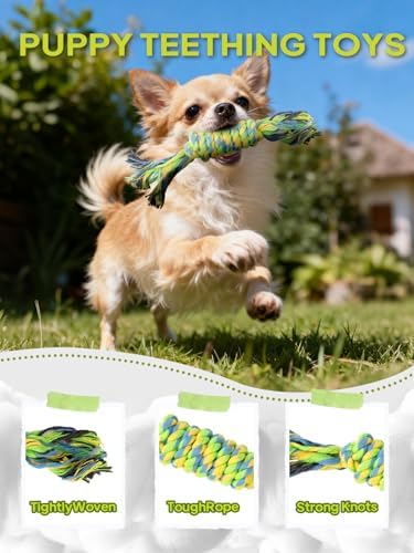 TwoEar Dog Rope Toy 9 Pack - Puppy Teething Toys for Small Medium Breed