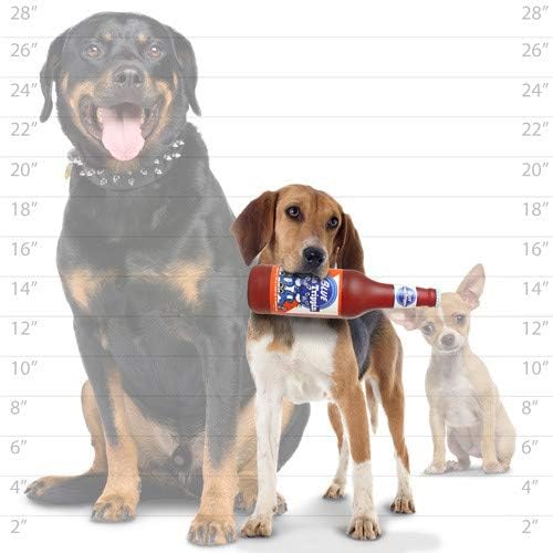 SILLY SQUEAKERS Tuffy 2 Pack Beer Bottle Dog Toy: Squeaky Dog Toy, Washable and Floats, Vinyl