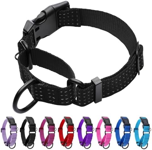 Martingale Dog Collar, Reflective No Pull with Buckle, Black, L