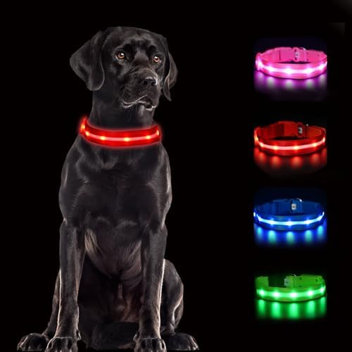 CHUKCHI LED Dog Collar Rechargeable,Waterproof Flashing Collar,Light Up Glow Collar, Adjustable Soft Safety Light Up for Small Medium Large Dogs Walking Camping at Night (Red-L)