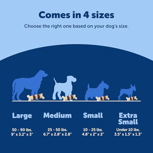PetSafe Busy Buddy Bristle Bone Dog Treat Holding Chew Toy, Medium