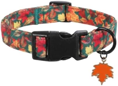 Fall Dog Collar, Dog Collar for Large Dogs, L