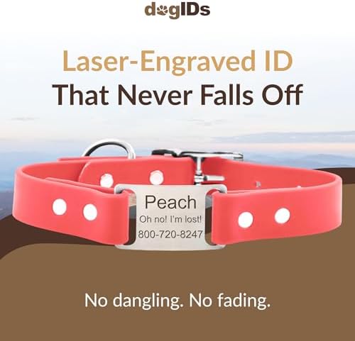 dogIDs Personalized Dog Collar – ScruffTag Custom Waterproof Biothane Dog Collar with Laser-Engraved Name, Durable & Odor-Resistant – USA Made | Coral, 1 in x 20 in (Fits Neck Sizes 18-22 in)