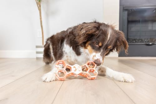 Chuckit! Holee Roller Dog Treat Puzzle Bone, Large, Orange – Interactive Treat & Chew Puzzle Toy for Dogs 60–100 lb – Durable Rubber Bone‑Shaped Fetch Toy for Mental Stimulation – Pack of 1