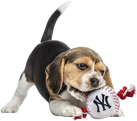 MLB NEW YORK YANKEES Baseball Rope Toy for DOGS & CATS. Tough nylon, Sporty Baseball Design, Heavy-duty ropes with Inner SQUEAKER