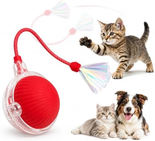 Interactive Cat Toy Ball with LED Lights, USB-C Rechargeable Automatic Cat Toy with Feather Tail, Smart Exercise Toy for Indoor Cats & Kittens, Upgraded Version