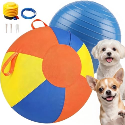 10'' Herding Ball for Dogs & Horses, Inflatable PVC Training Toy