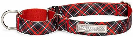 Lucky Love Dog Martingale Collar for Small Dogs No Slip – Heywood, Small