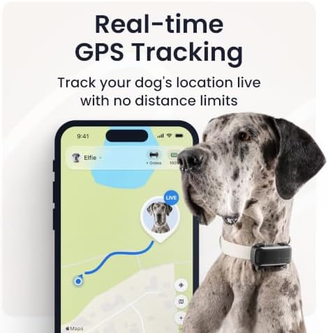 Tractive XL Smart Dog GPS Tracker | Live Pet Tracker with Virtual Fence | Vital Signs Monitoring of Heart & Respiratory Rate | Up to 6-Weeks Battery Life | Dog Collar Attachment (Black)