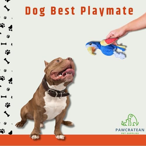 7" Squeaky Plush Toy for Puppies Small Dogs Self Etertainment Washable Soft Made [PET ONLY] (Yellow Wing Parrot)
