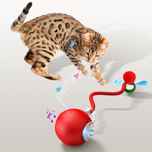 Interactive Dog Cat Toys, Automatic Moving Cat Toys for Bored Indoor Adult Cats, Fast Rolling, Chirping & Motion-Activated Kitty Toys, Fun Gift for Dogs/Cats, USB Rechargeable (Red)