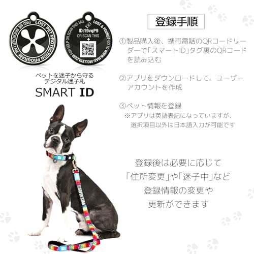 Max & Molly Urban Pets Smart ID Dog Collar - Soft Neoprene, Waterproof, Machine Washable, Power Buckle, Gotcha! QR Tag & Custom App Profile, Sharks, XS