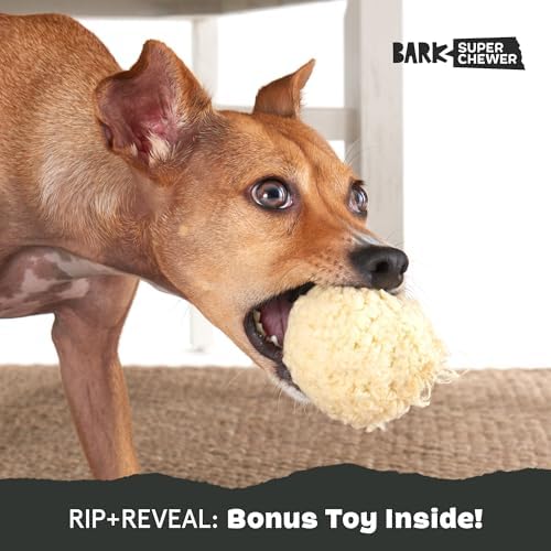 BarkBox Potato Super Chewer - Toy for Small Dogs