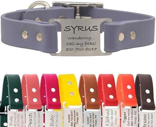 dogIDs Personalized Dog Collar – ScruffTag Custom Waterproof Biothane Dog Collar with Laser-Engraved Name, Durable & Odor-Resistant – USA Made | Grey, 1 in x 20 in (Fits Neck Sizes 18-22 in)