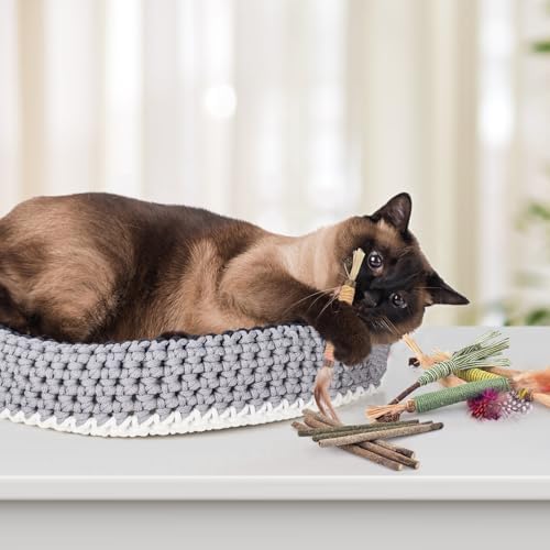 Bissap 16PCS Silvervine Chew Sticks, Catnip Chewing Toy for Cat Kitten