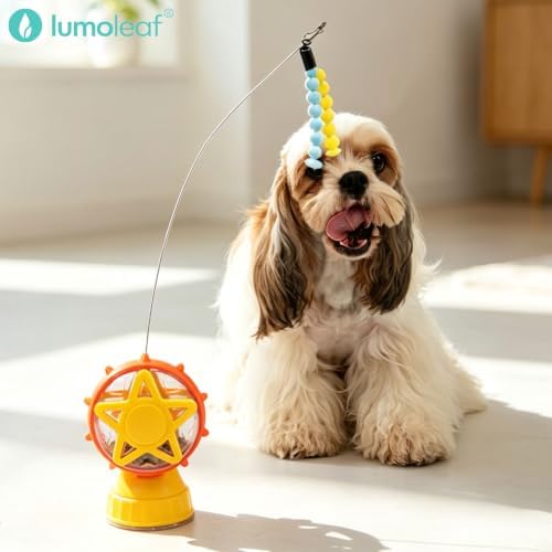 LumoLeaf Interactive Treat Toy for Puppies, Small Dogs & Cats, Treat Dispensing Puzzle Toy with Adjustable Opening, Suction Cup Base & Teaser Wand, Indoor Enrichment Toy for Boredom Relief (Yellow)