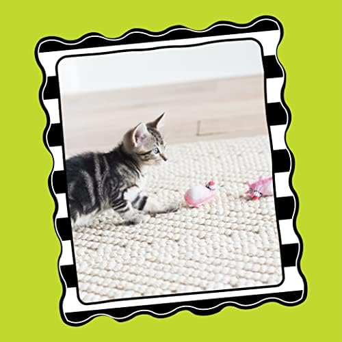 Bamboo Pet CAM650384 Fat Cat Kitty Hoots Eeeks Chic Catnip Toy, Multicolor