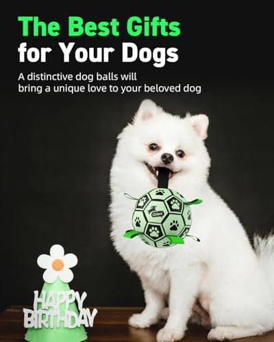 QDAN Glow in The Dark Dog Balls, Soccer Balls for Dogs with Straps, 8 Inch