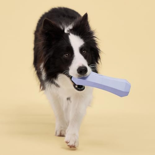 Playology Squeaky Chew Stick - Scented Dog Toy - Jumbo, Lamb Scent