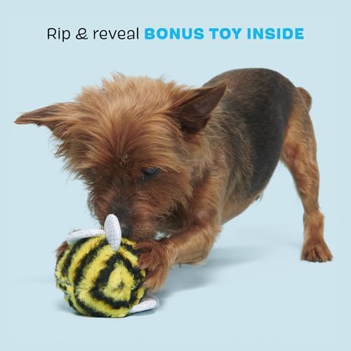 BarkBox Buzzy Body Dog Toy - Toy for Medium to Large Dogs