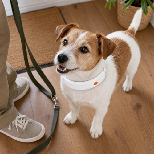 New OVlboRav V3.0 Cat Health Monitor by OVlboRav – AI Health Collar with 24/7 Vital Signs Alerts, GPS, Telehealth Consults, AskaVet & Share with Your Vet & SmartWatch Sync – Subscription Required