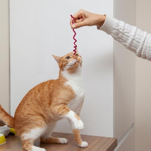 Mipcase 100Pcs Colorful Twistable Pipe Cleaner Cat Toys Soft Plush Spring Interactive DIY Supplies for Indoor Cats and Kittens Flexible Wool Sticks for Pet Play