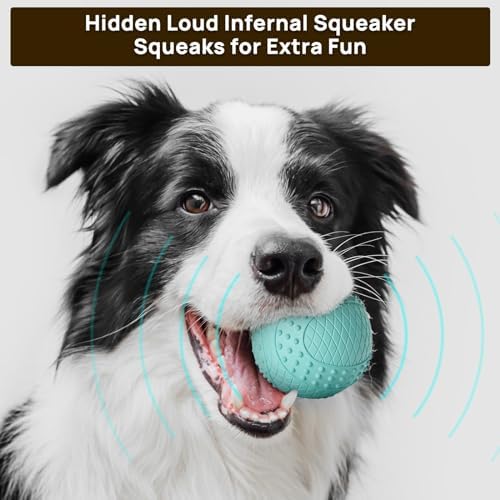 iPettie Summer Floating Dog Ball, Squeaky Water Fetch Toy