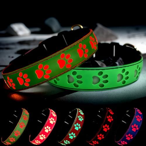 Personalized Light Up Dog Collar with Laser Engraved ID Tag