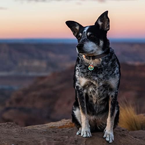 QR Code Dog Tag,Pet ID Tags, Dog Tags Personalized for Pets,Smart Dog ID Tags,Custom Dog Tags-Free Online&Scan QR Receive Instant Location Alert Email