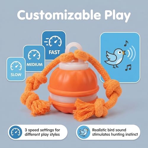 Winb Interactive LED Dog Ball （4 inch）- USB Rechargeable Motion-Activated Rolling Toy for Small to Large Dogs, Dogs Ball Play and Wicked Fun,Squeaky Sound & Stimulation, Orange