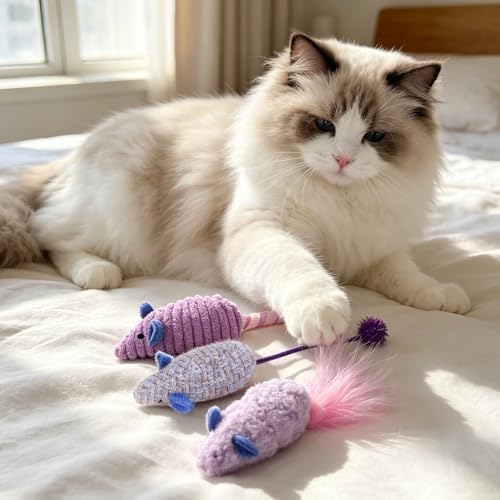 Andiker 3PCS Cat Mouse Toys, Colorful Catnip Toys for Cats with Rattle Box Ribbon Feather Interactive Cat Toys for Indoor Cats to Chew Bite Teeth Cleaning (Purple)