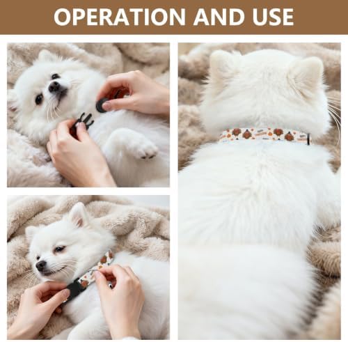 Cartoon Turkeys Kitten Collar 2 Pack Pet Collars for Cats Adjustable Length 10.6" to 17.1"