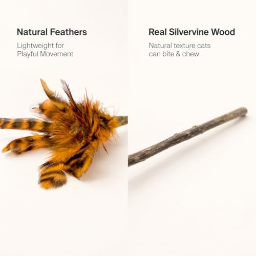 Silvervine Feather Cat Toys, 3 Pack Natural Matatabi Chew Toys for Indoor Cats, 8" Handmade Cat Toy for Chewing & Independent Play, Quiet Indoor Floor Play
