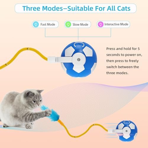 Cat Enrichment Toy, Chase Toy for Bored Indoor Adult Cats | cat feather toy|cat automatic toy|cat toys with bells|bouncy tails cat toysrechargeable cat toy